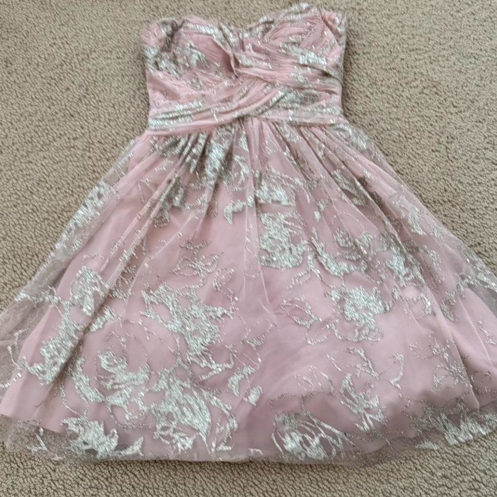 Adrianna Papell Pink Dress with Silver Glitter Overlay